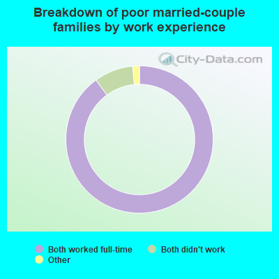 Breakdown of poor married-couple families by work experience