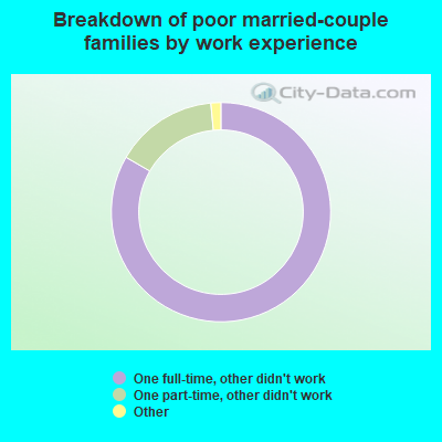 Breakdown of poor married-couple families by work experience