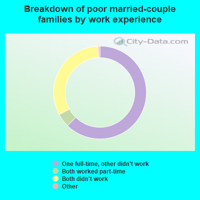 Breakdown of poor married-couple families by work experience