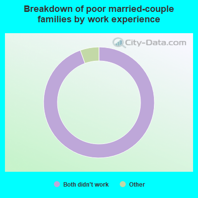 Breakdown of poor married-couple families by work experience