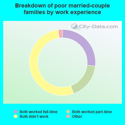 Breakdown of poor married-couple families by work experience