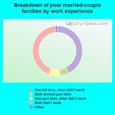 Breakdown of poor married-couple families by work experience