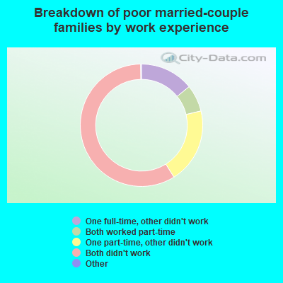 Breakdown of poor married-couple families by work experience