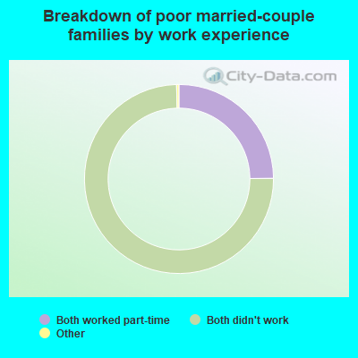 Breakdown of poor married-couple families by work experience