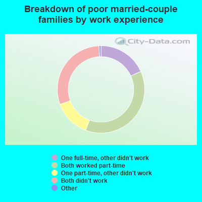 Breakdown of poor married-couple families by work experience