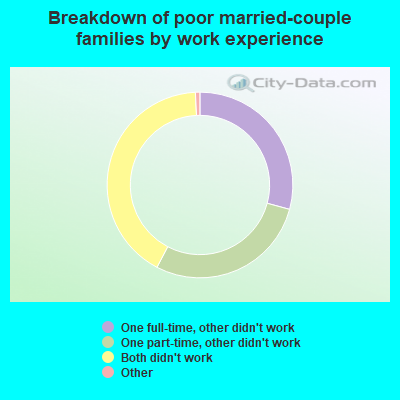 Breakdown of poor married-couple families by work experience