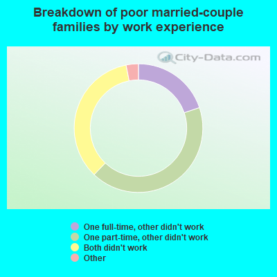 Breakdown of poor married-couple families by work experience