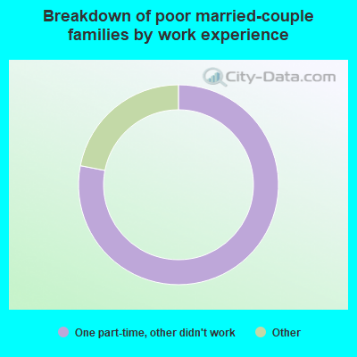 Breakdown of poor married-couple families by work experience