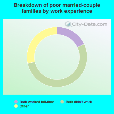 Breakdown of poor married-couple families by work experience