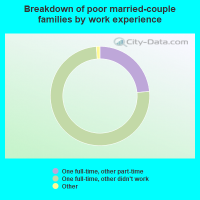 Breakdown of poor married-couple families by work experience