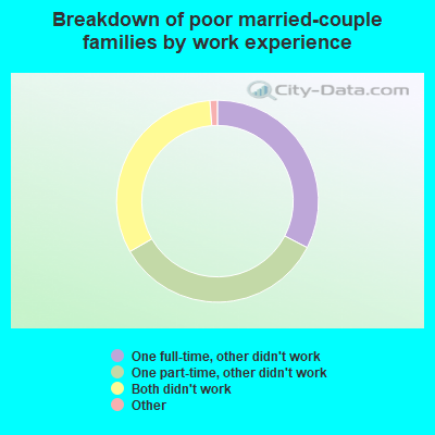 Breakdown of poor married-couple families by work experience