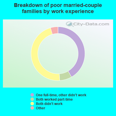 Breakdown of poor married-couple families by work experience