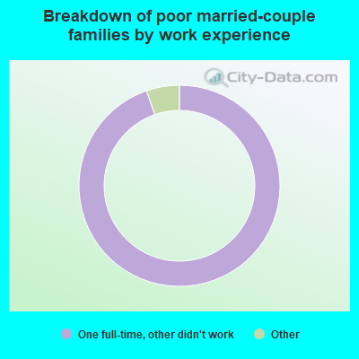 Breakdown of poor married-couple families by work experience