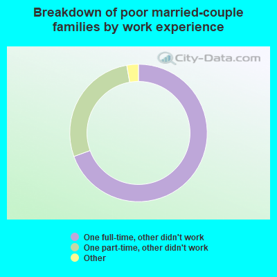 Breakdown of poor married-couple families by work experience