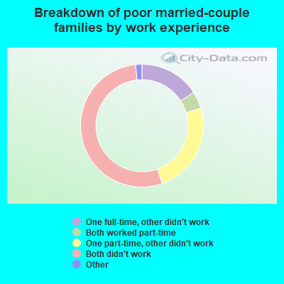 Breakdown of poor married-couple families by work experience