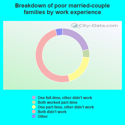 Breakdown of poor married-couple families by work experience