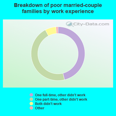 Breakdown of poor married-couple families by work experience