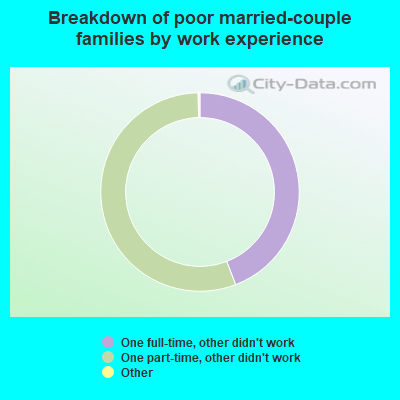 Breakdown of poor married-couple families by work experience