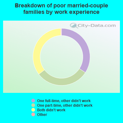 Breakdown of poor married-couple families by work experience