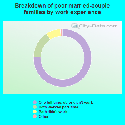 Breakdown of poor married-couple families by work experience