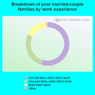 Breakdown of poor married-couple families by work experience