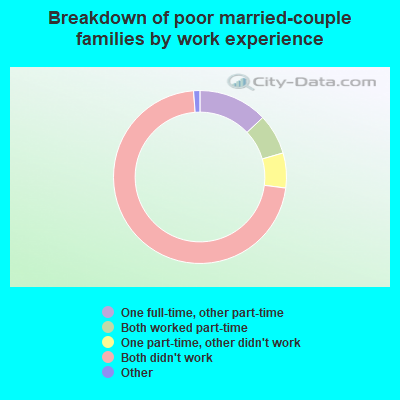 Breakdown of poor married-couple families by work experience