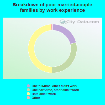 Breakdown of poor married-couple families by work experience