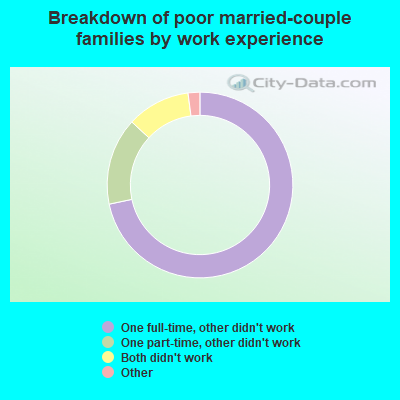 Breakdown of poor married-couple families by work experience