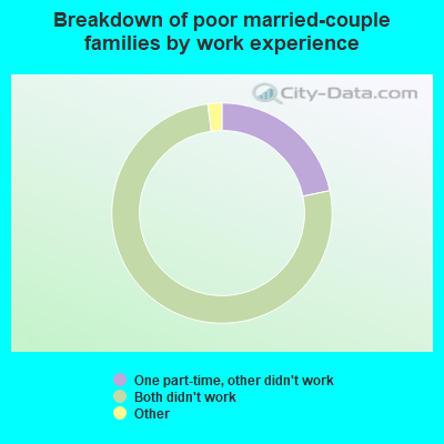 Breakdown of poor married-couple families by work experience