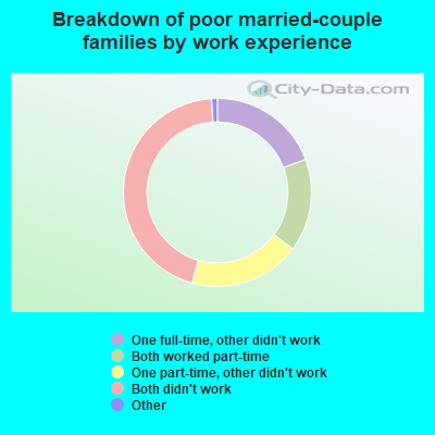 Breakdown of poor married-couple families by work experience