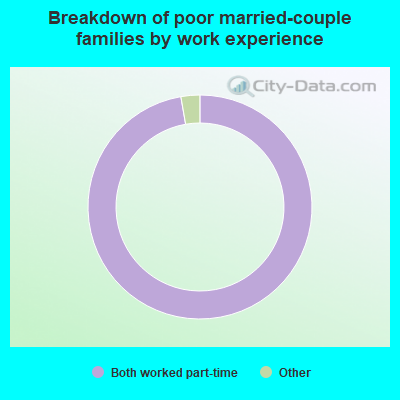 Breakdown of poor married-couple families by work experience