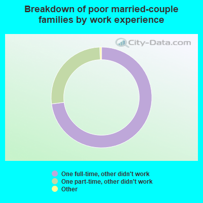 Breakdown of poor married-couple families by work experience