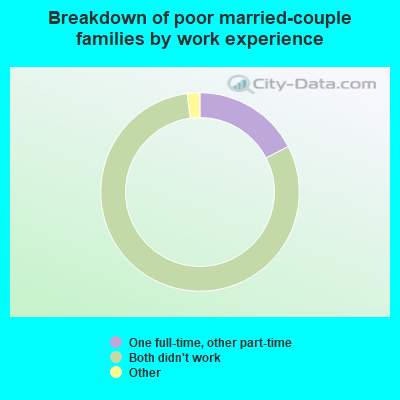 Breakdown of poor married-couple families by work experience