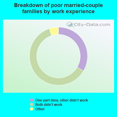 Breakdown of poor married-couple families by work experience