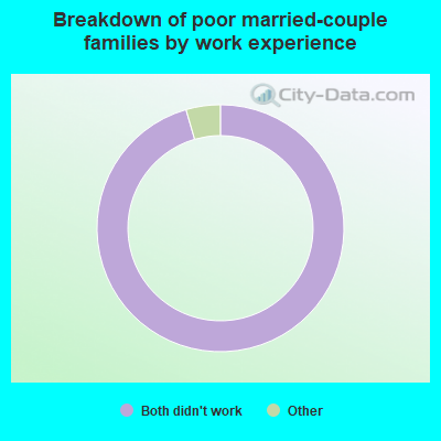 Breakdown of poor married-couple families by work experience