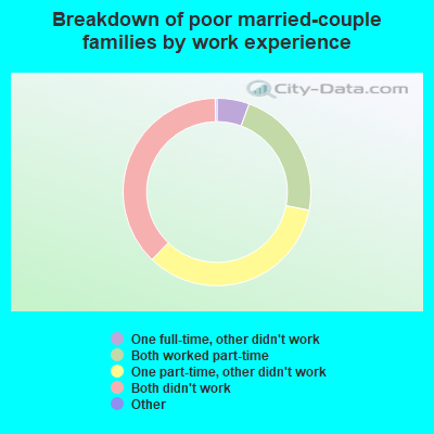 Breakdown of poor married-couple families by work experience