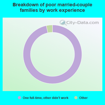 Breakdown of poor married-couple families by work experience