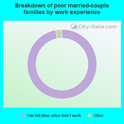 Breakdown of poor married-couple families by work experience