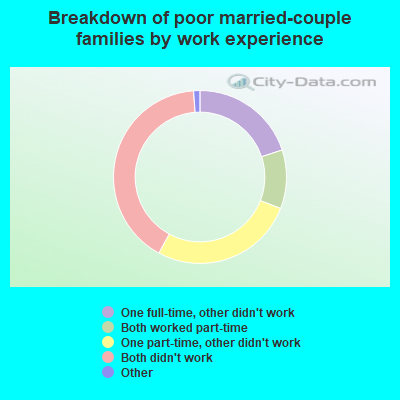 Breakdown of poor married-couple families by work experience