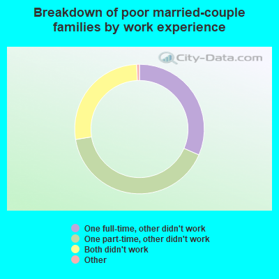 Breakdown of poor married-couple families by work experience