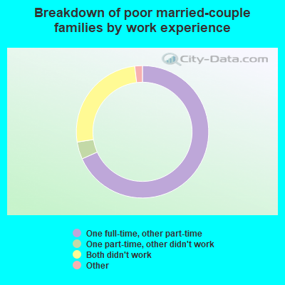 Breakdown of poor married-couple families by work experience