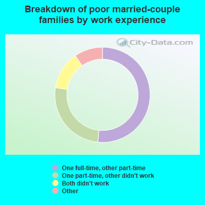 Breakdown of poor married-couple families by work experience