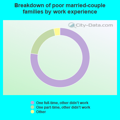 Breakdown of poor married-couple families by work experience