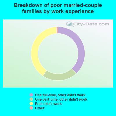 Breakdown of poor married-couple families by work experience