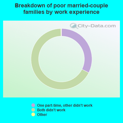 Breakdown of poor married-couple families by work experience