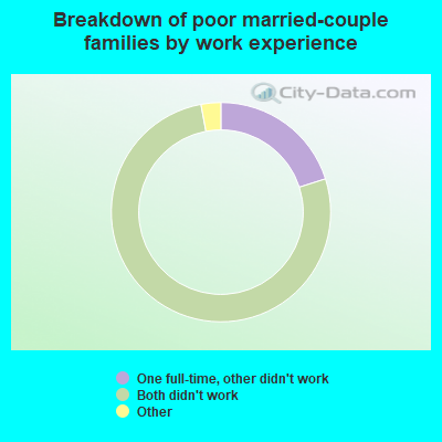 Breakdown of poor married-couple families by work experience