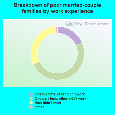 Breakdown of poor married-couple families by work experience