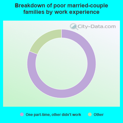 Breakdown of poor married-couple families by work experience