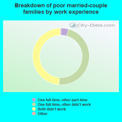 Breakdown of poor married-couple families by work experience