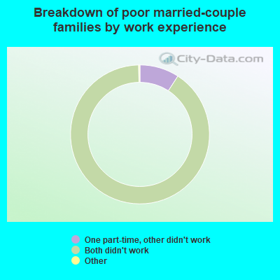 Breakdown of poor married-couple families by work experience